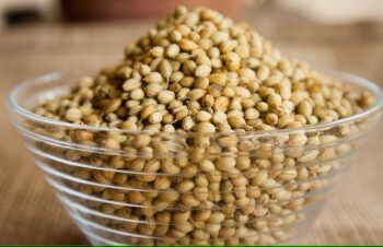 Coriander Seeds (Dhaniya)