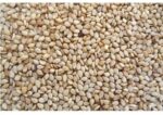 White Sesame (Nuvvulu)