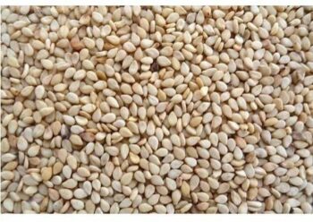 White Sesame (Nuvvulu)